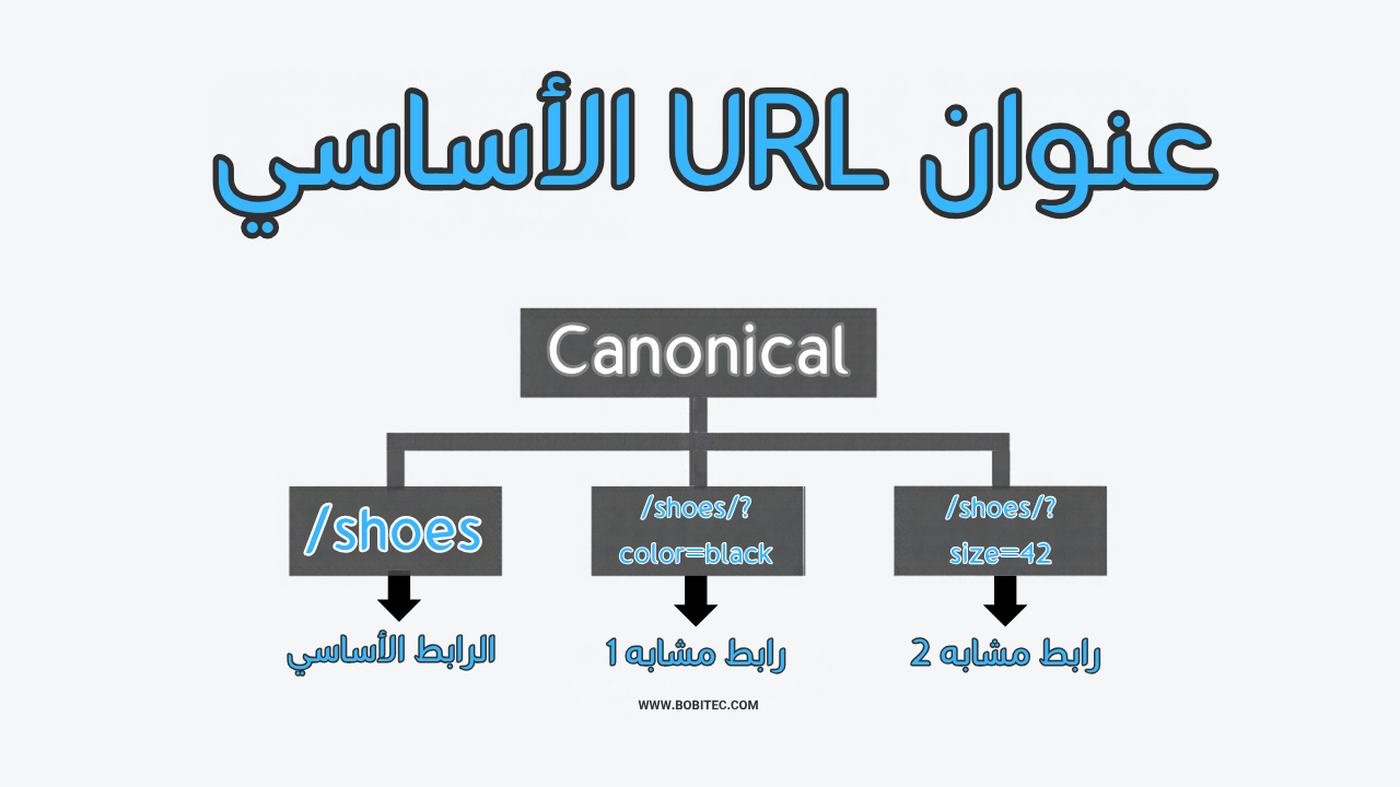 ما هو الرابط الأساسي Canonical - صفحة مكررة بدون اختيار عنوان أساسي من المستخدم